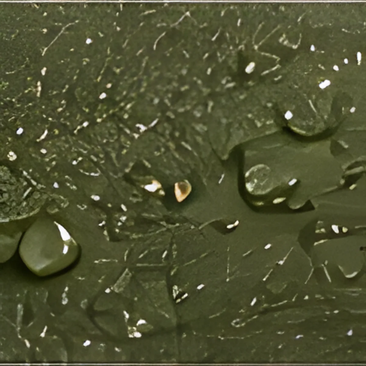 Cactus Leather Tote in Olive Green, close-up detail